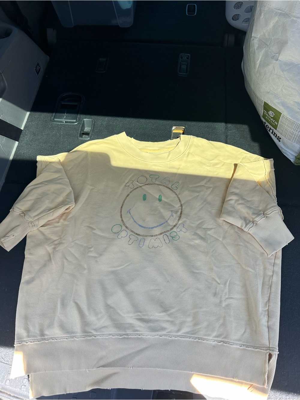 aerie Cream Smiley Graphic Crewneck Sweater
